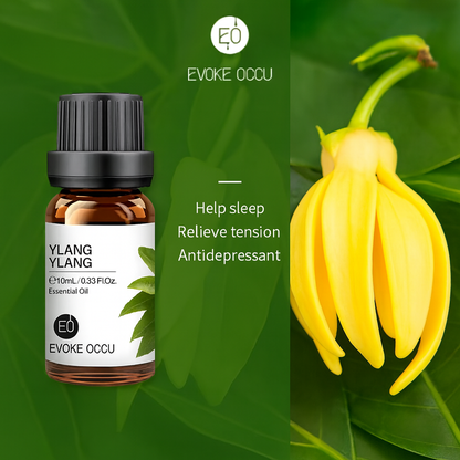 EVOKE OCCU 10mL Essential Oil